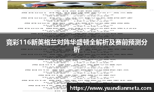 竞彩116新英格兰对阵华盛顿全解析及赛前预测分析